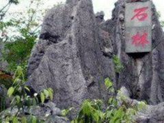 -千岛湖石林