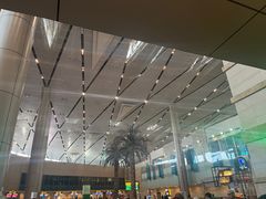 -开罗国际机场