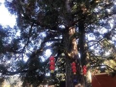 -雪峰寺