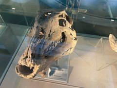 -甘肃地质博物馆