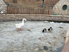 -南宫五洲植物乐园