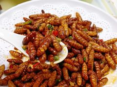 -凯盈阁私房菜·桑拿鸡(绿茵花园店)