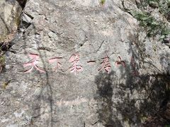 -王顺山国家森林公园
