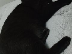 -联合动物医院(光谷诊疗中心)