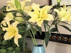 -随喜赞素食餐厅(亦庄店)