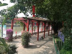 -光明港公园