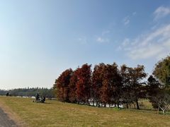 -上海海湾国家森林公园