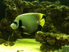 -暹罗酒肆泰餐厅酒吧