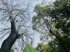 -南京晨光1865创意产业园