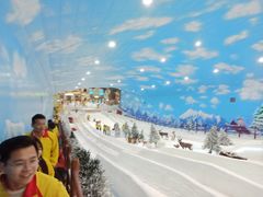 -世界之窗阿尔卑斯冰雪世界