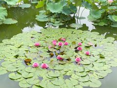 -国家植物园南园