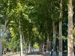 -山东大学(洪家楼校区)
