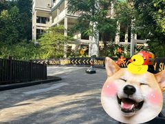 -圣淘沙天际线斜坡滑车