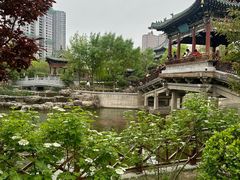 -迎泽公园