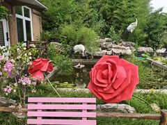 -丽泽山庄·生态怀柔菜·虹鳟鱼(红螺寺店)