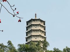 -深圳国际园林花卉博览园