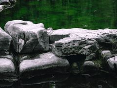 -环城公园