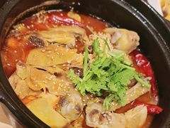 -周家二小姐的菜·扬州菜·香炒蟹·狮子头(江都金鹰店)