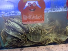 -七欣天香辣蟹火锅(抚州硕果时代广场店)