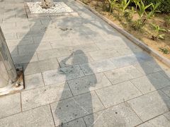 -秦皇岛职业技术学院图书馆(佳苑小区北)