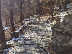 -阳台山自然风景区