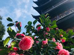 景点-常熟方塔园