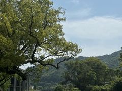 -上坦村