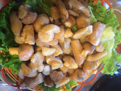 iphone_upload_pic-易门野生菌府·菌海森林(月牙潭公园店)