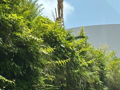 -金泽21世纪美术馆