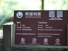 -都江堰中华大熊猫苑