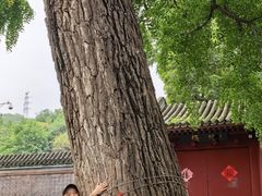 -龙泉寺