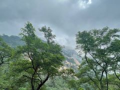 -泰山风景名胜区