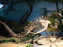 -自贡恐龙博物馆