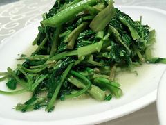 -阿英煲(凉城路店)