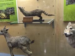 -陕西自然博物馆