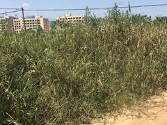 -艾尚主题式KTV(艾溪湖绿地店)