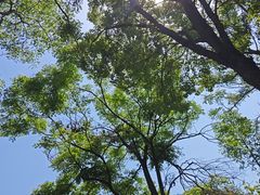 -嬉乐湾休闲旅游区