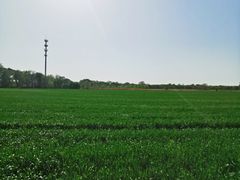 -西青郊野公园