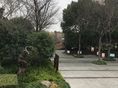 -陈家山荷花公园