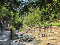 -广州白江湖森林公园