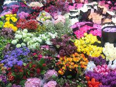-双季花艺园艺市场(浦东店)