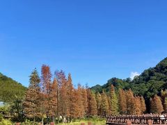 -广州市石门国家森林公园