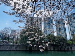 -红星桥(地铁站)