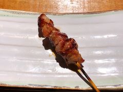 烤梅肉-TINY