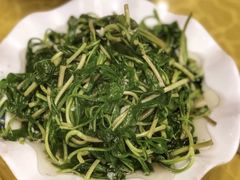 -清真·安乐园菜馆(茶南店)