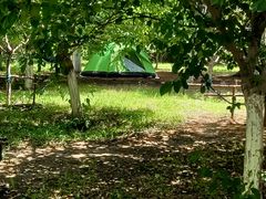 -长白岛森林公园