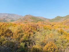 -北京鹫峰国家森林公园