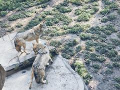 -哈尔滨北方森林动物园