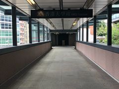 -香港大学