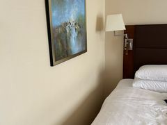 -深圳香格里拉酒店